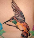 Beautiful Hummingbird Tattoos Designs