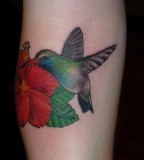 Nice Hummingbird Tattoo Design on Arm