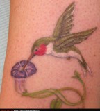 Tattoo Design Of Hummingbird Tattoo