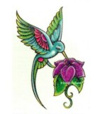 Hummingbird Tattoo Design Sketch