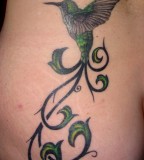 Hummingbird With Long Tail Tattoo Ideas