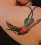 Solo Hummingbird In Vibrant Colors On Shoulder