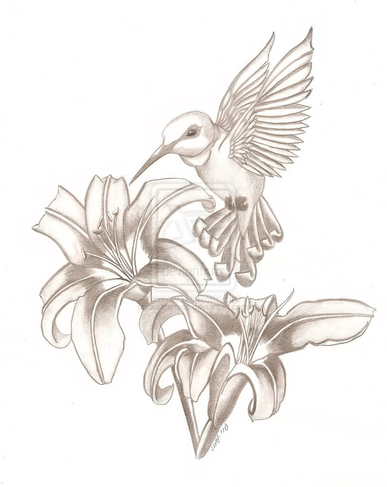 Cool Tattoo Girl Hummingbird Sketch