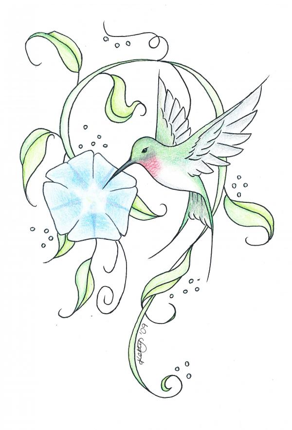 Hummingbird Tattoo Sketch By Meryllknight