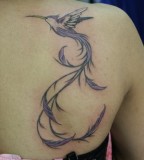 Long Tail Hummingbird Tattoo Design On Shoulder