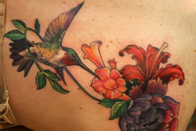 Full Color Hummingbird Tattoos Design
