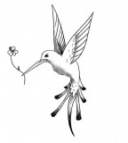 Flying Hummingbird Tattoo Sketch Design