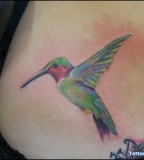 Cute Hummingbird Tattoo Design on Hip