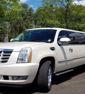 Luxurious and Expensive Limousines