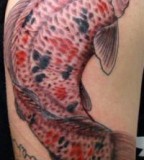 Red Big Koi Fish Tattoo