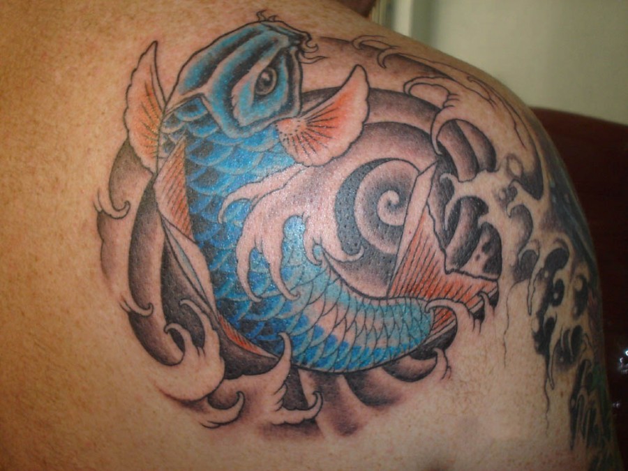 Best Koi Fish Tattoo Designs For Back Shoulder