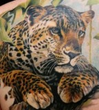 25 Awesome Leopard Tattoo Designs Slodive