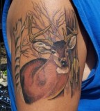 Deer Tattoo Pictures And Meaning