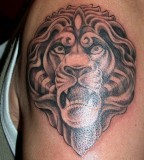 Beautiful Lion Half Sleeve Tattoo Design