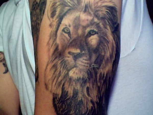 Dashing Lion Face Tattoos