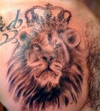 Lion Tattoo Designs Ideas 