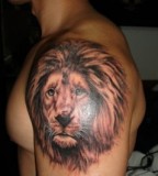 Majestic Lion Tattoo 
