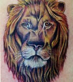 Animal Wildlife Tattoos Lion Face