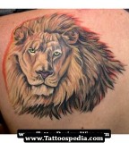 Awesome Lion Tattoo Designs - Animal Tattoos