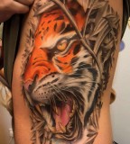 Amazing Life-like Tiger Tattos Designs on Rib-cage for Men - Tiger Tattoos