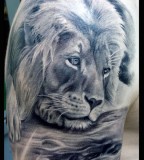 Lion Tattoo Designs for Men - Shoulder Animal Tattoos for Women