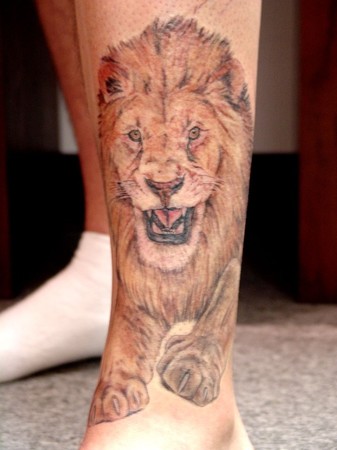 Lions Tattoos Designs On Foot  – Fashion Tattoos