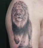 On Shoulder Great Lion Tattoo Designs for Men - Lion Tattoo