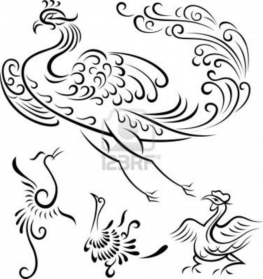 Tribal Peacock / Phoenix Bird Outline Tattoos – Bird Tattoos