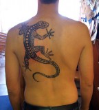 Lizard Tatoos For Men Pictures Video Amp Information On Lizard