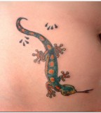 Lizard Tattoo Designs Tribal Lizard Tattoo Designs