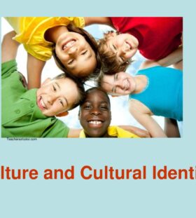 Teachersofcolor.com. Culture and Cultural Identity.