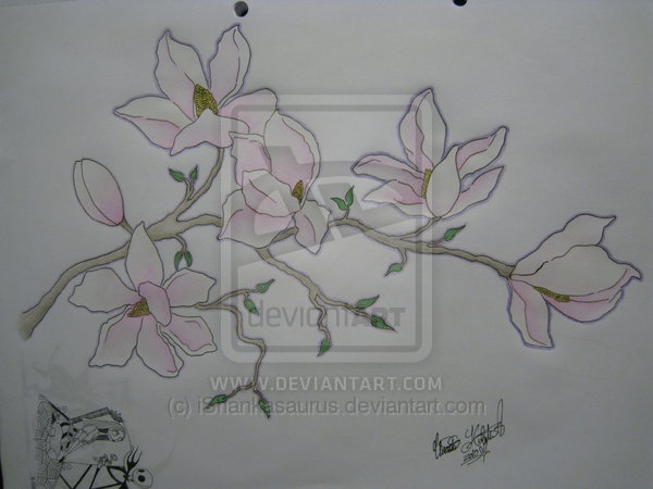 Magnolia Flower Tattoo Design By Ishankasaurus On Deviantart