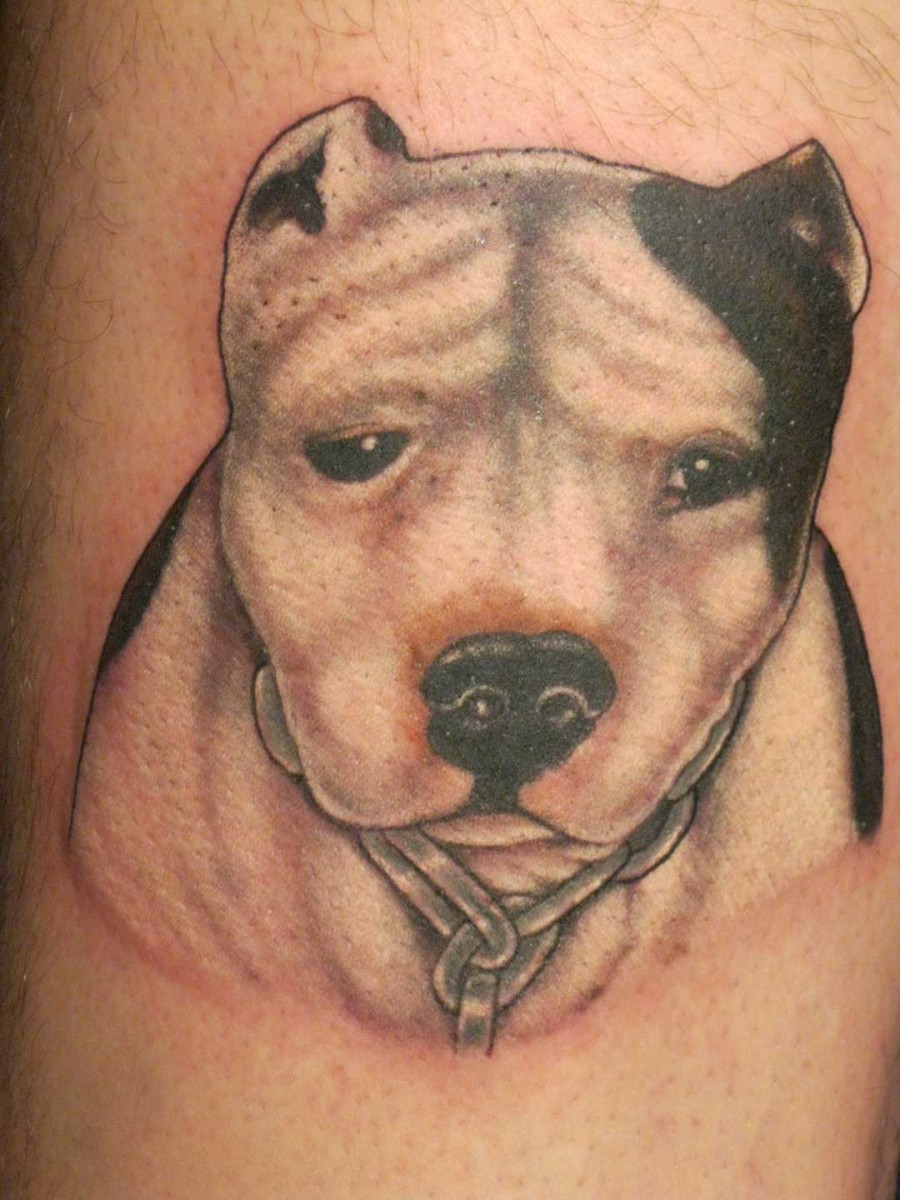Dog Marine Tattoo Ideas