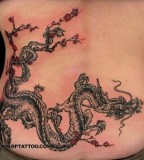 Beautiful Japanese Dragon on Sakura Tree Tattoo Design