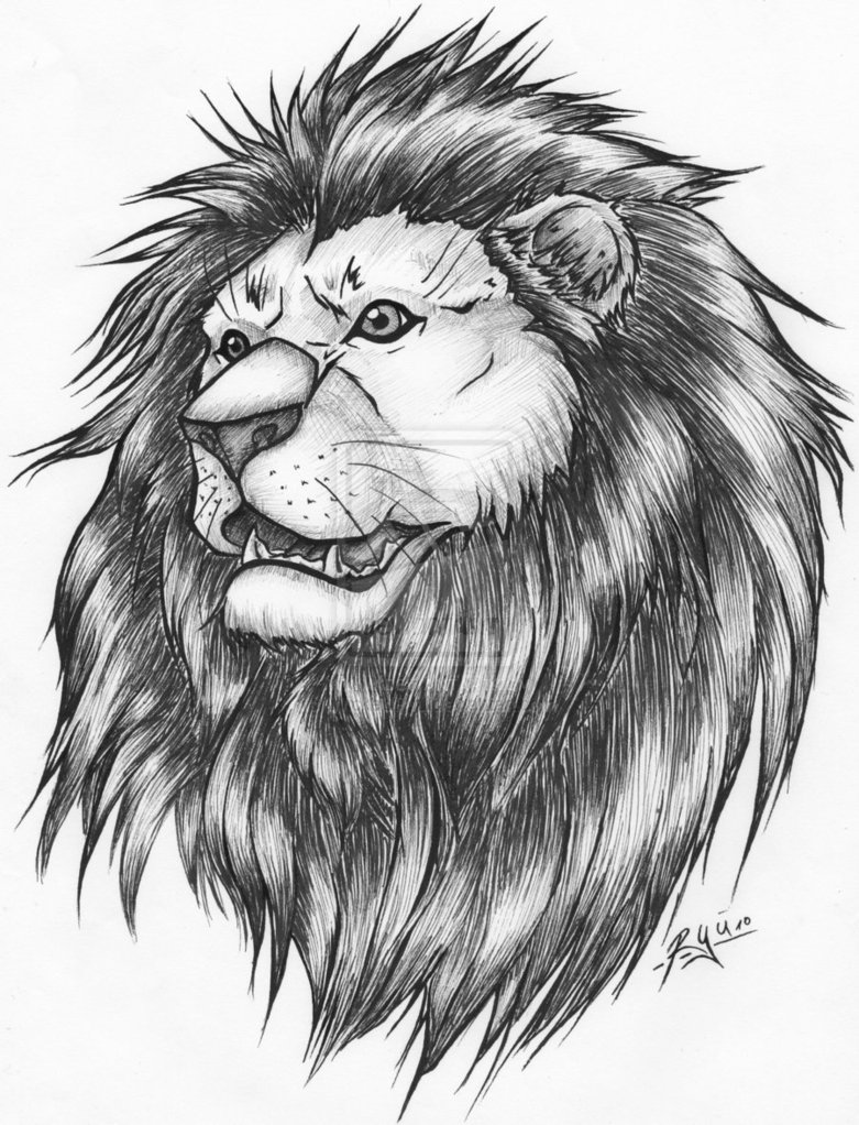 Awesome Lion Tattoo Drawing / Sketches Design Ideas – Animal Tattoos