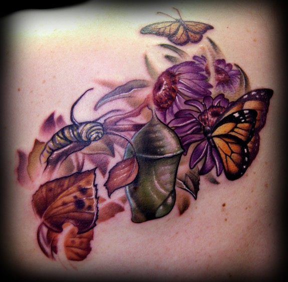 Monarch Butterfly Life-Cycle Tattoo - Monarch Struggle Philosophy & Meaning