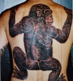 Full Monkey Tattoos Damn Cool Example