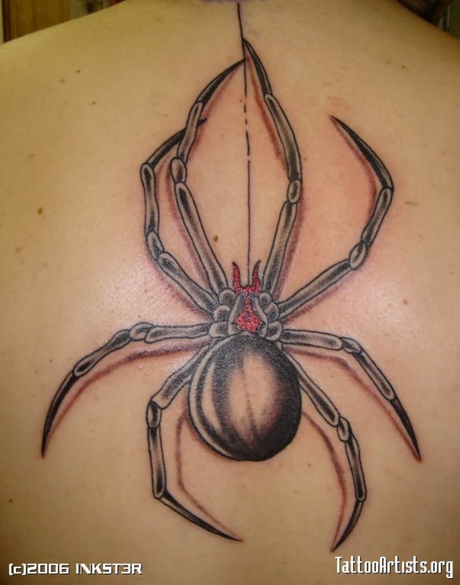 Awesome Spider Tattoos Pictures