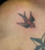 Beautiful Swallow And Nautical Star Tattoo Design 