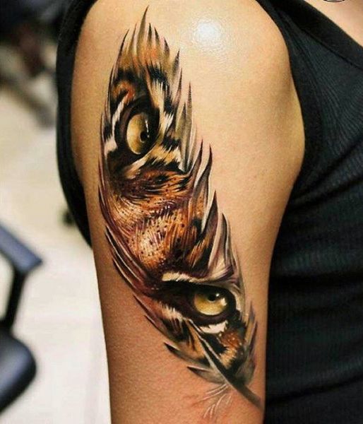 orange eye tiger feather