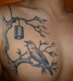 Bird Tattoos Design on Chest - Bird Tattoos for Men