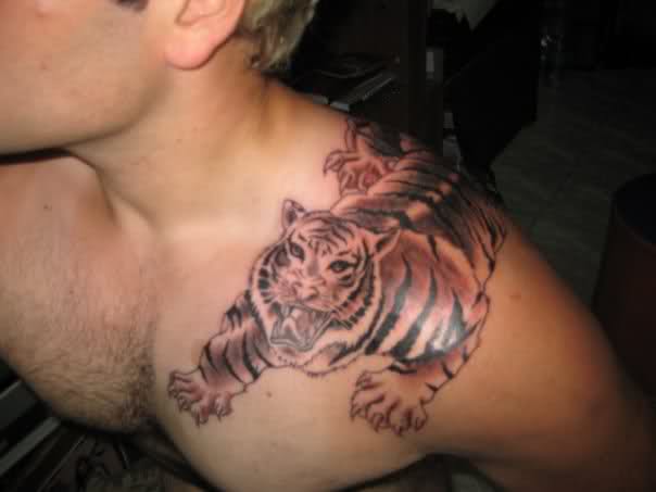 Cool Masculine Tiger Shoulder Tattoo Design for Men