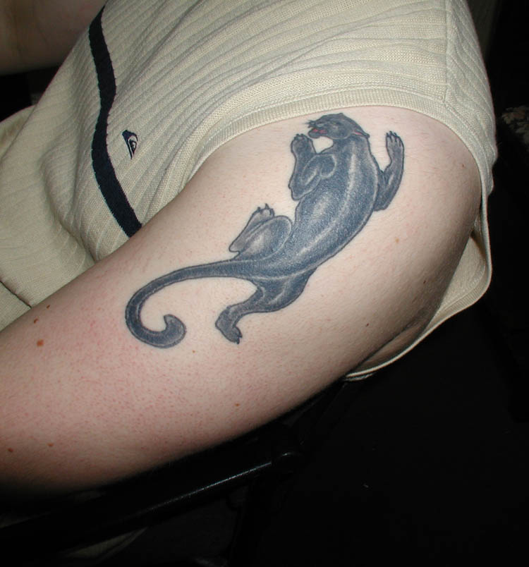 Best The Sing Of Power Animals  Panther Tattoo