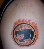 Panther Tattoo Meaning Free Download Tattoo