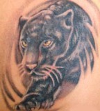 Panther Tattoos Designs High Quality Photos For Animals Tattoo