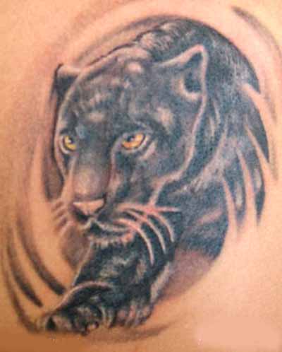 Panther Tattoos Designs High Quality Photos For Animals Tattoo