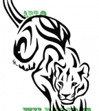 Vector Tiger Lion And Panther Tattoos Meaning Get Rid Of Your