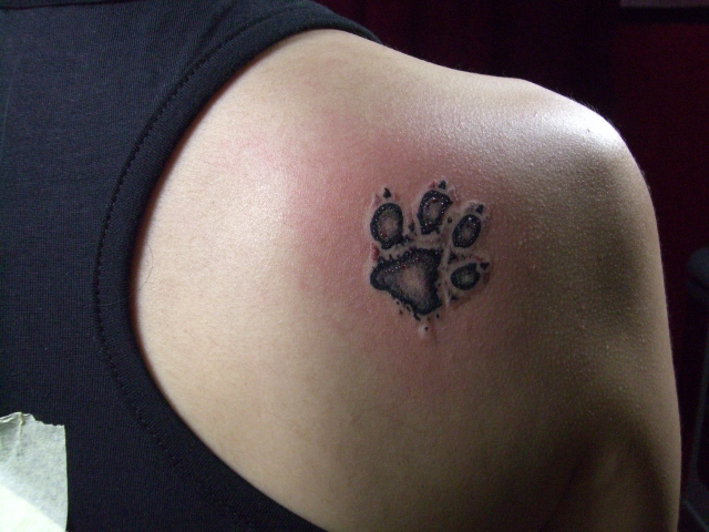 Creatives Dog Paw Tattoos Design