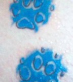 Blue Paw Prints Tattoo Design Pictures