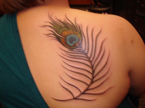 Sweet Peacock Feather Tattoo Design